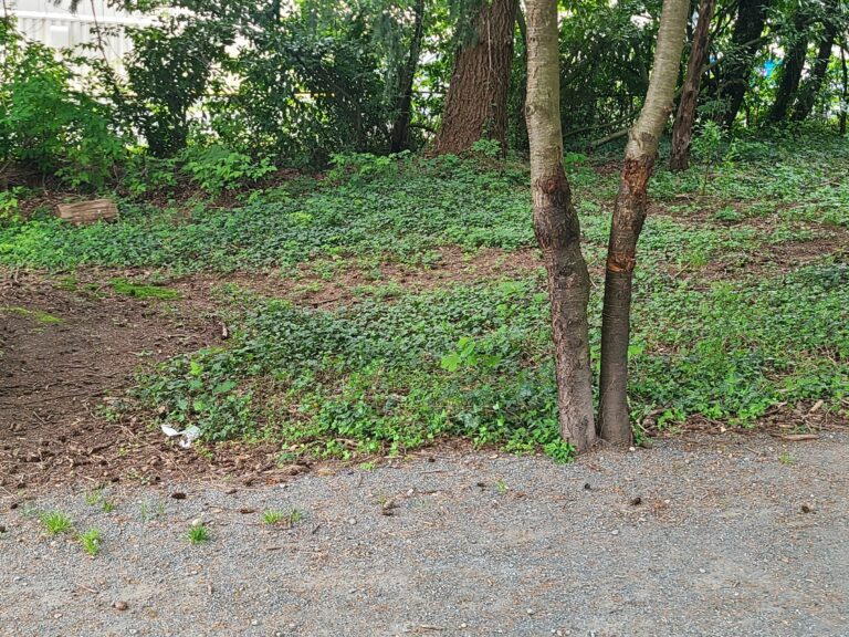 Before