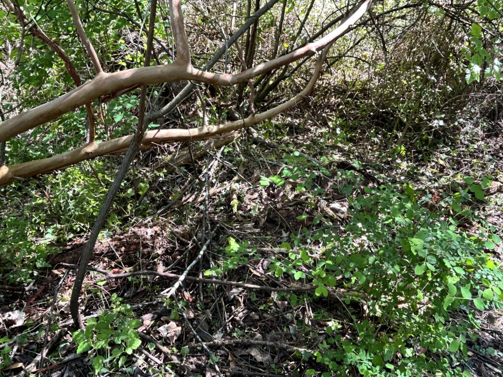 After (3) May 4