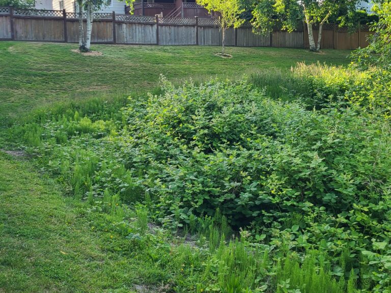 Before