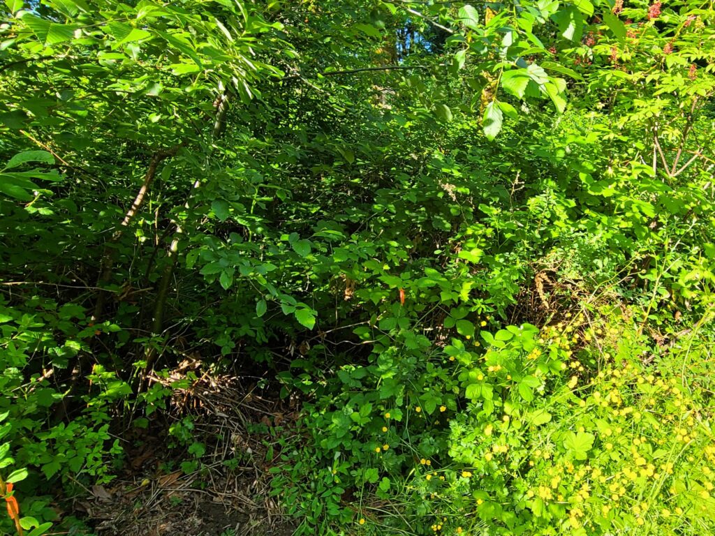 Before