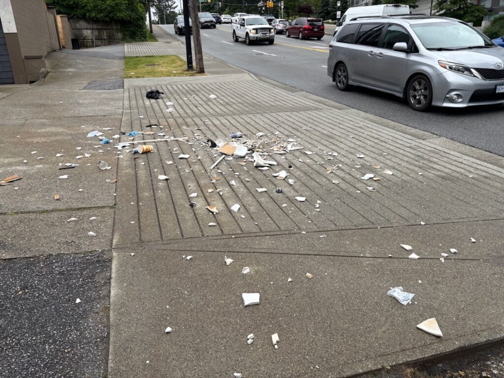 Before cleaning up a large patch of litter