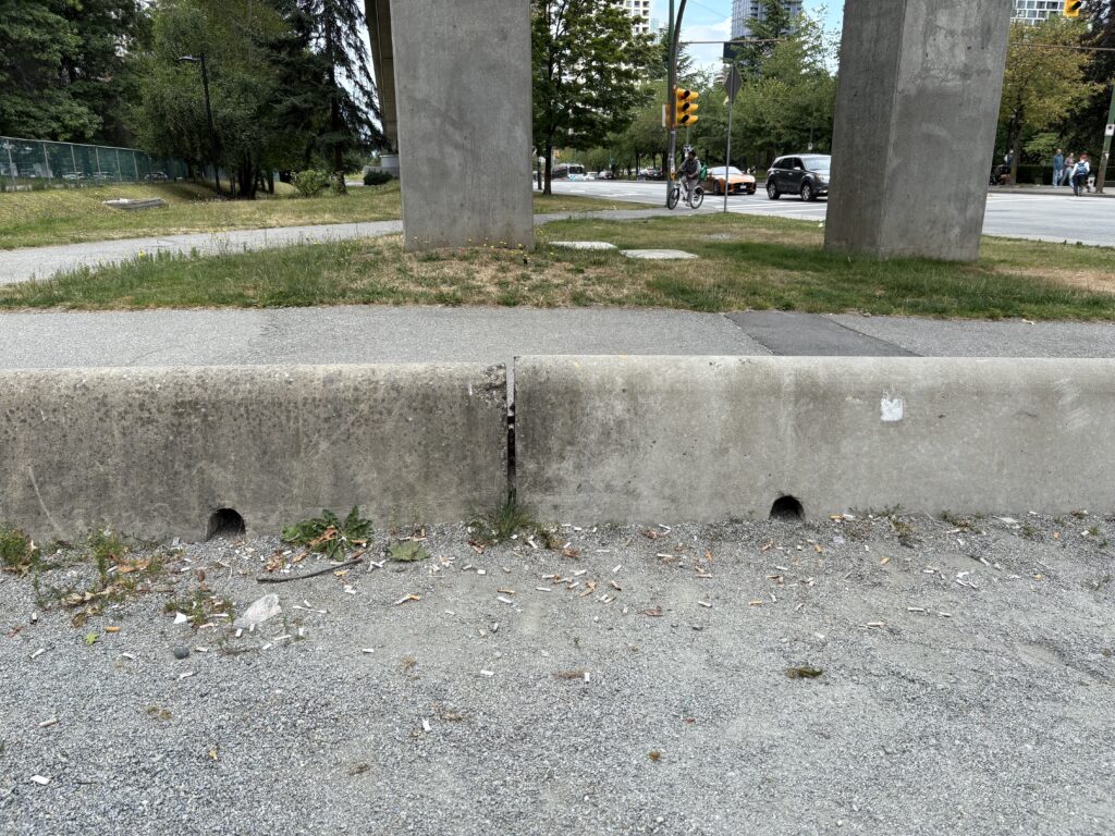 Before - Cigarette Butts Galore!