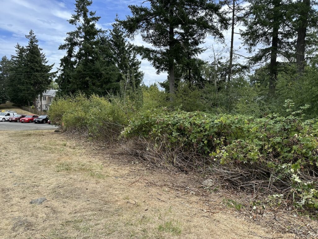 2.2 After