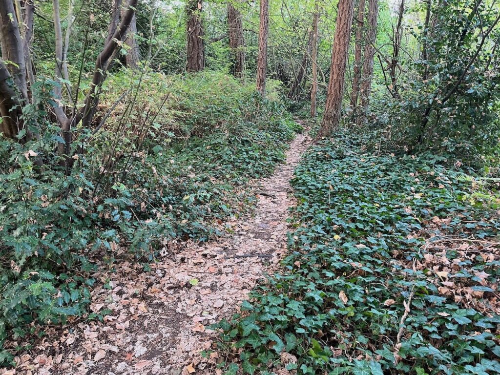 Before