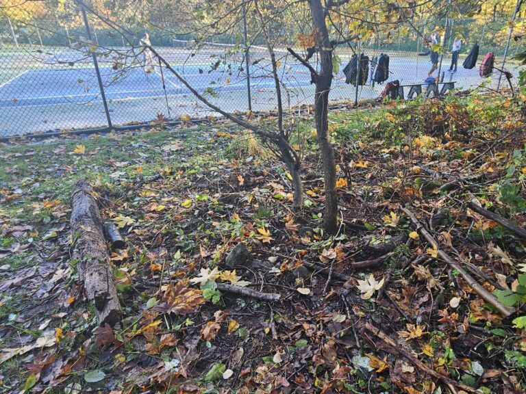 After Blackberry Removal