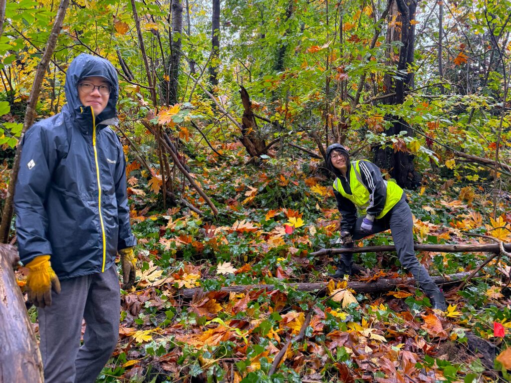 54894187602_14e3ff3bdd_o