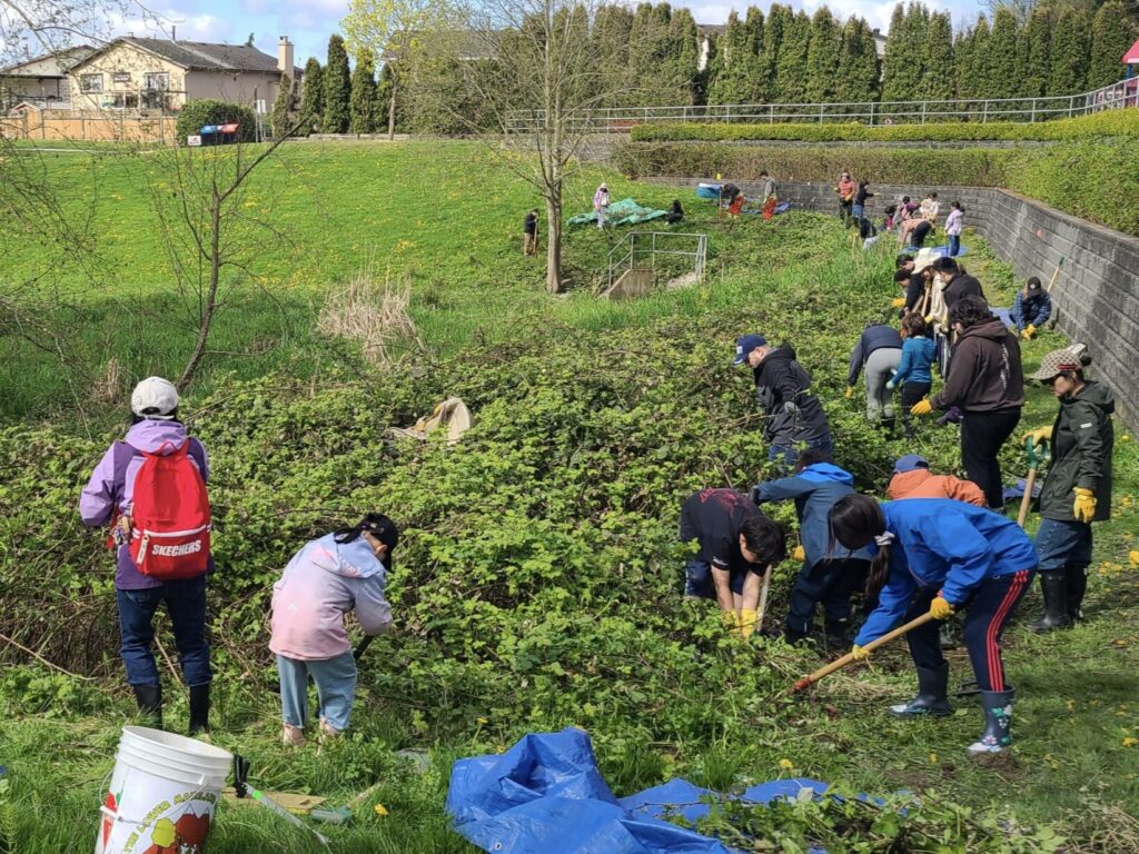 54447983271_19643c90ec_4k-scaled