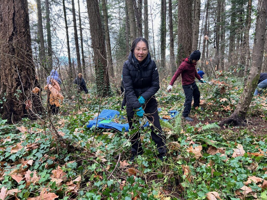 54953419797_c41e69772e_k