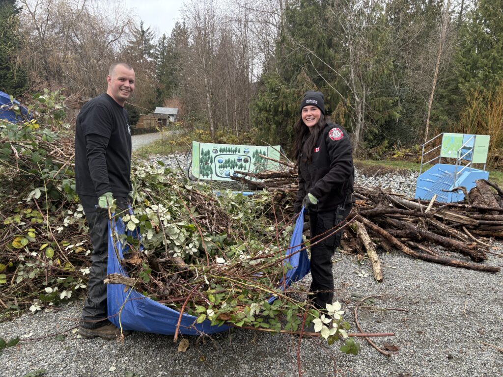 54954471883_f10682f1fa_o