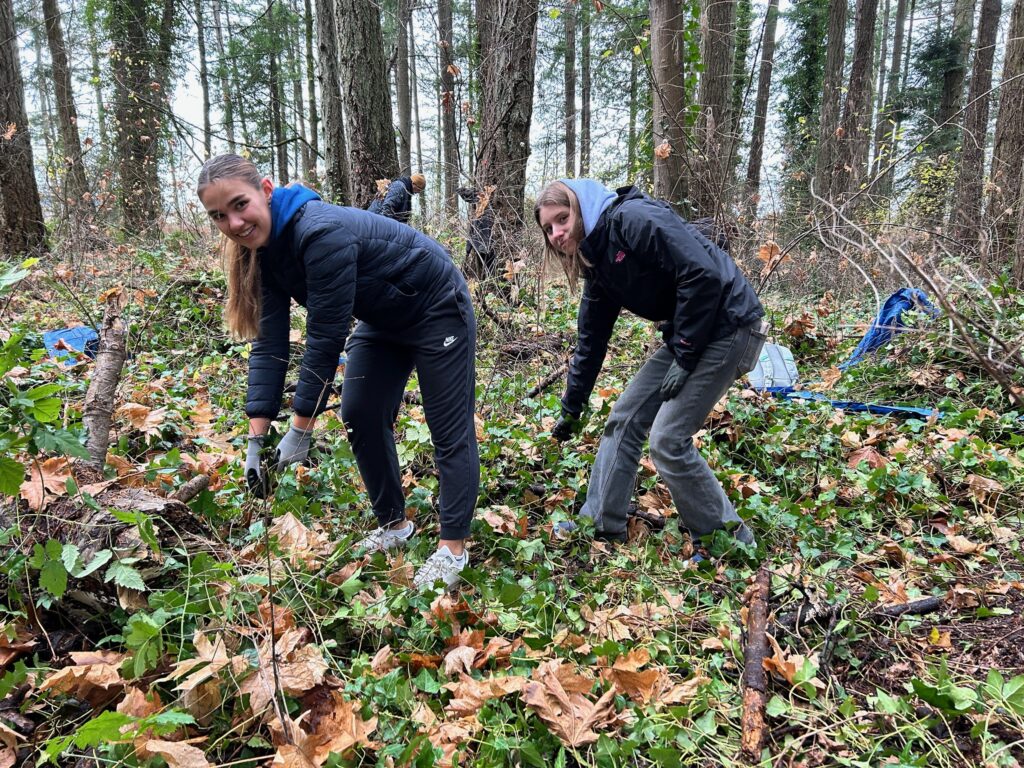 54954491673_00de3eaaf7_k