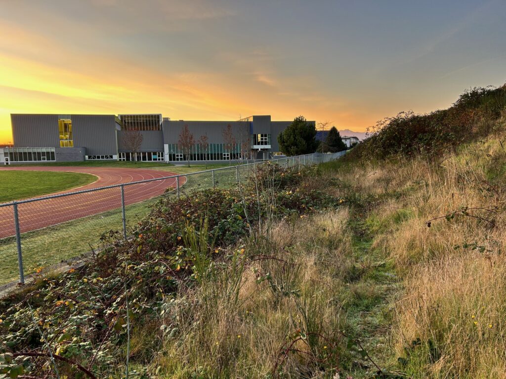 Before invasive blackberry removal