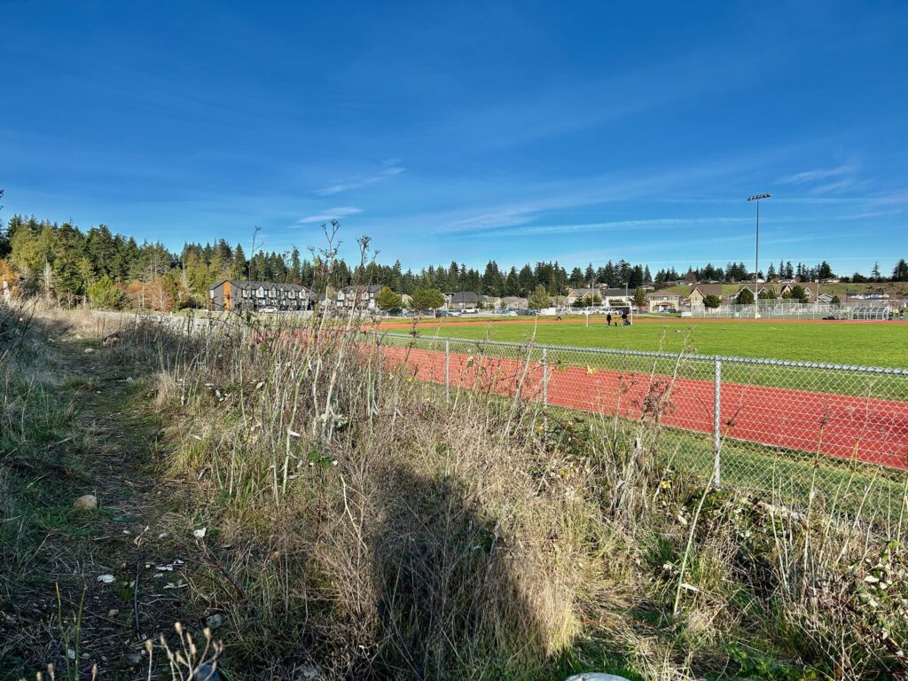 After invasive blackberry removal