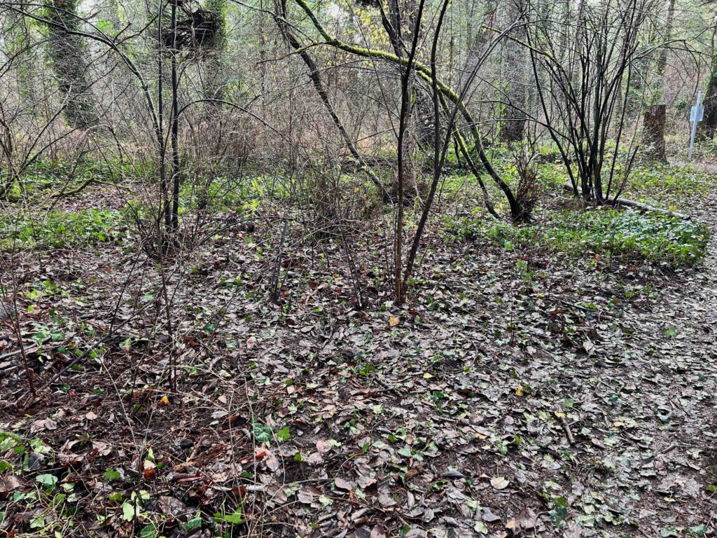 IMG_0601afterwebsite