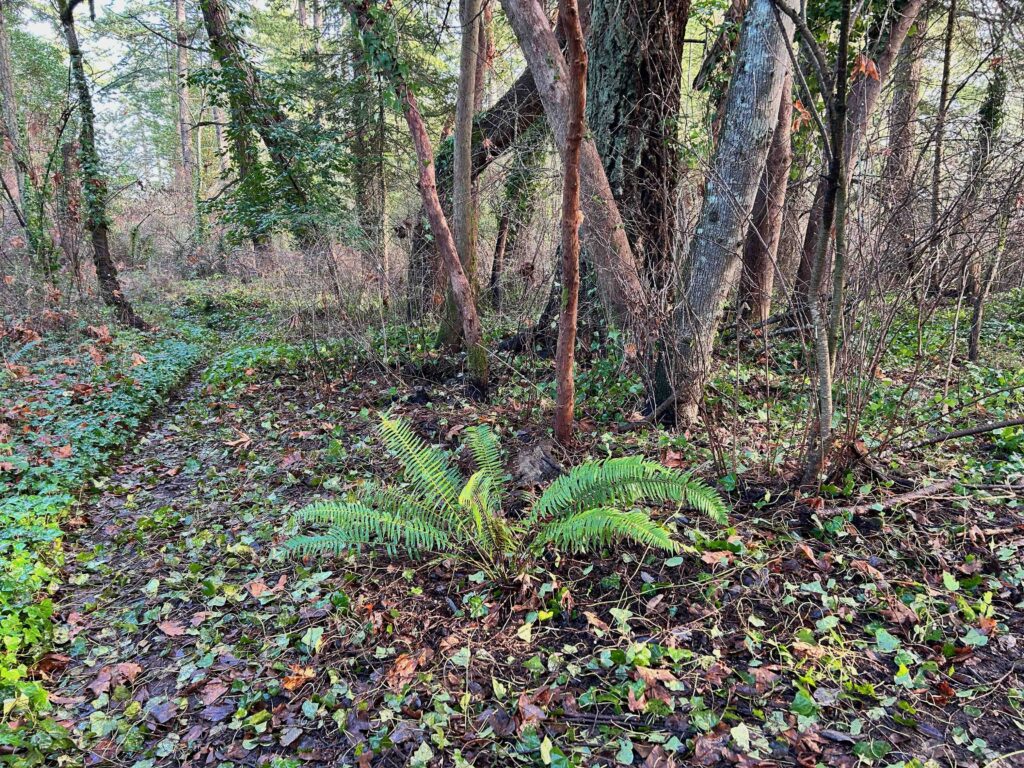 IMG_0610afterwebsite