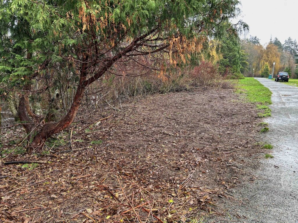 IMG_1041afterwebsite