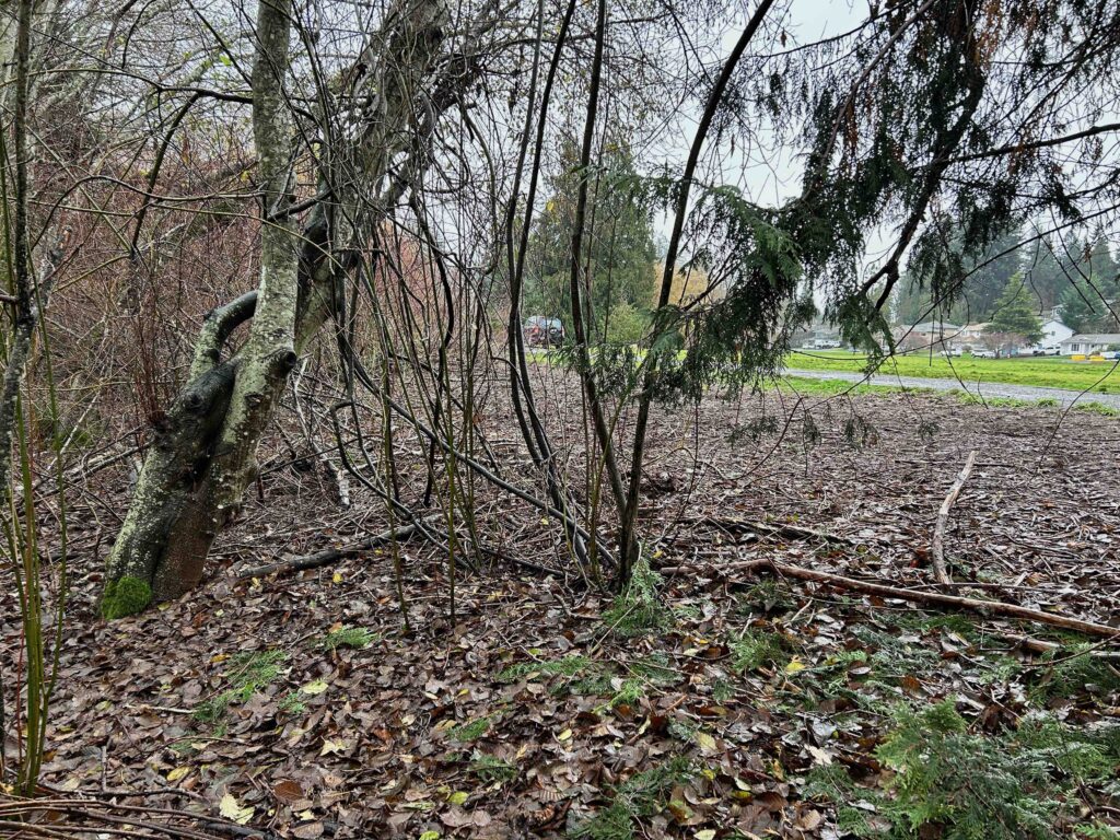 IMG_1043afterwebsite