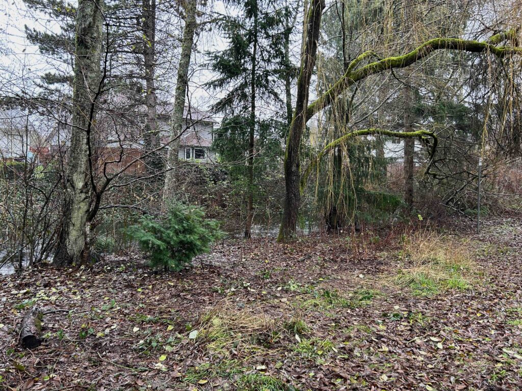 IMG_1051afterwebsite