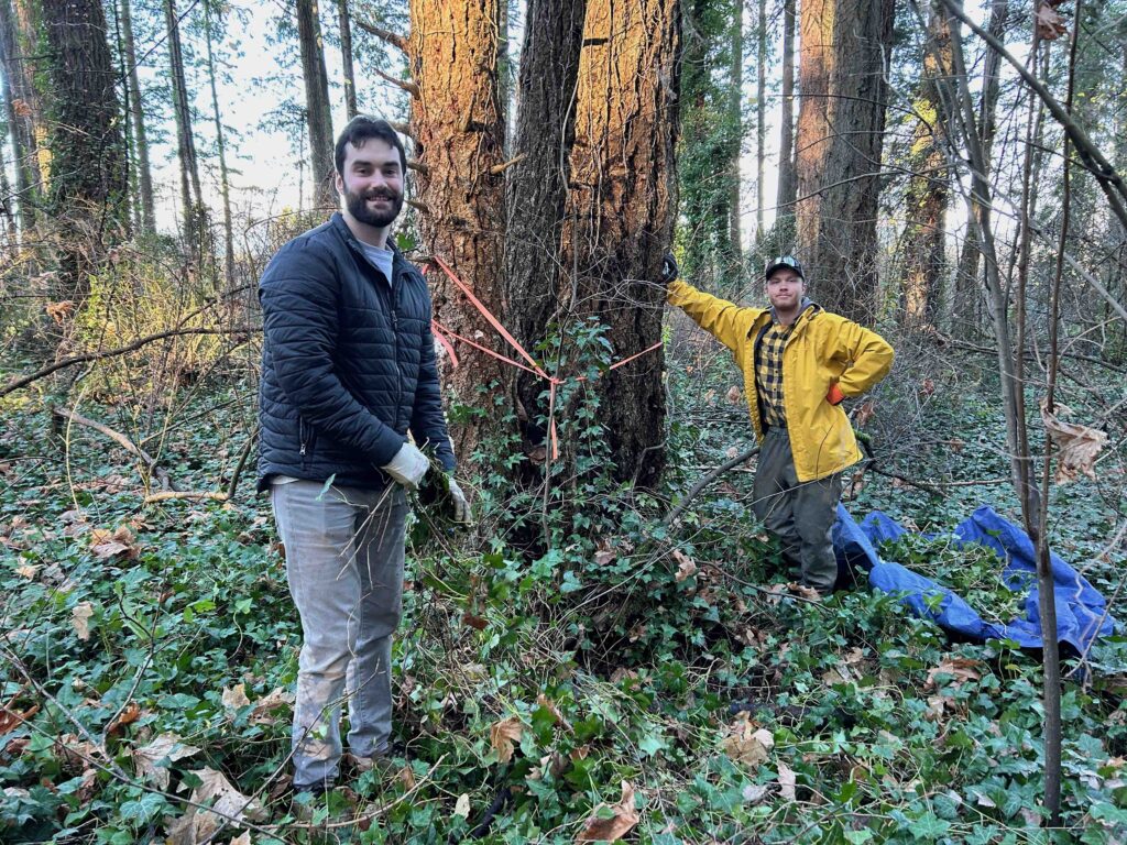 Robbieclaytonwebsite