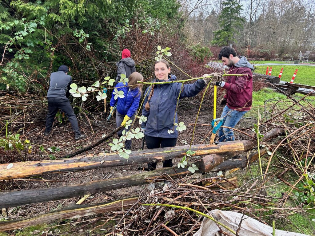 55083150307_cf432e6448_k