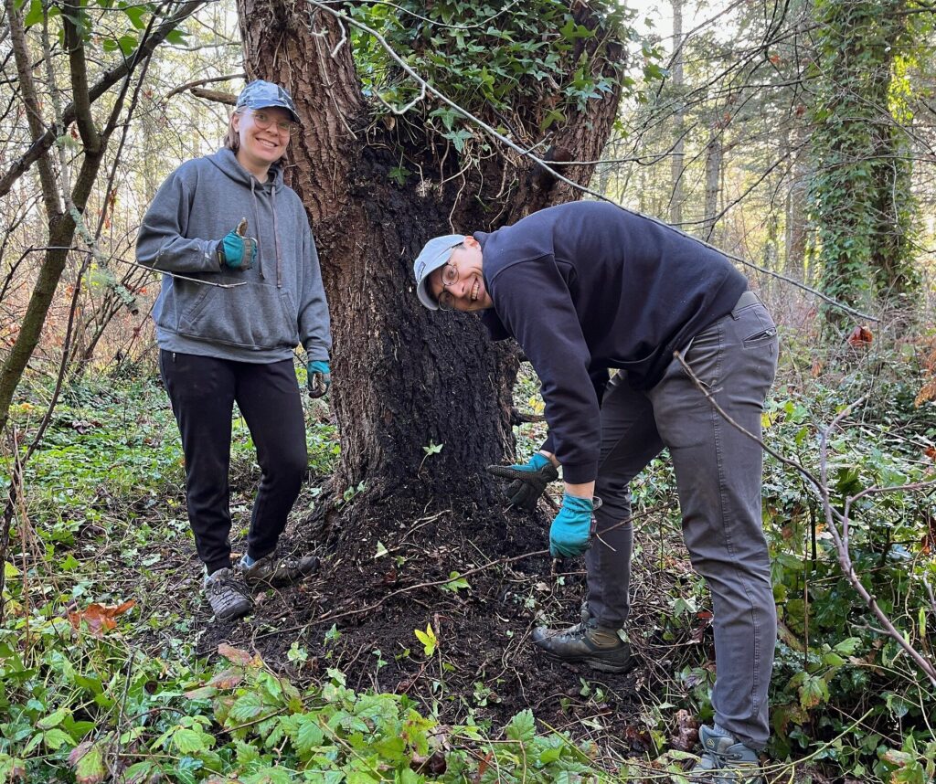 55086559291_041fd36c09_k