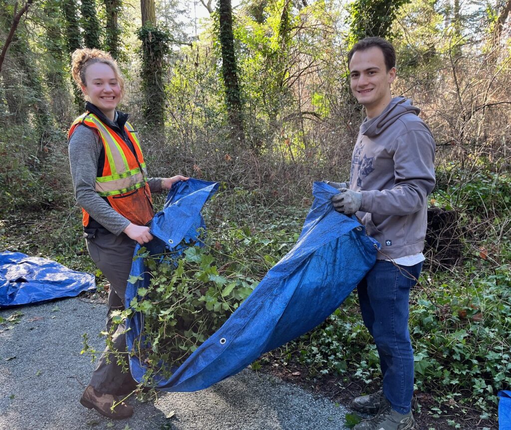 55086925735_41e388f06c_k