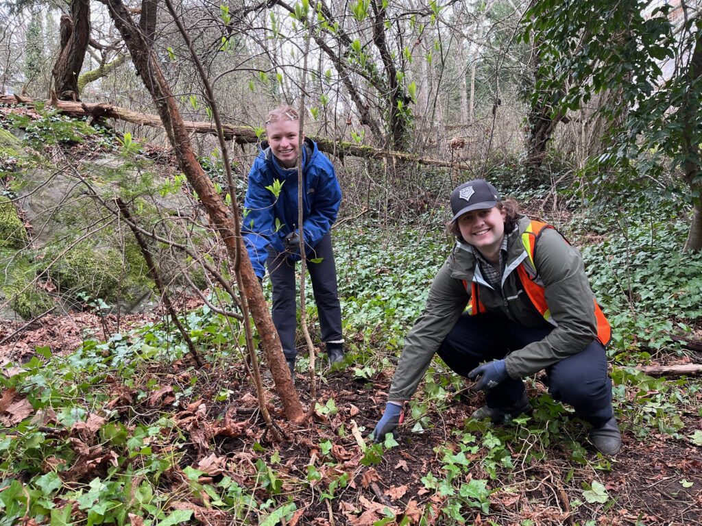 55108901284_de71707ecd_k