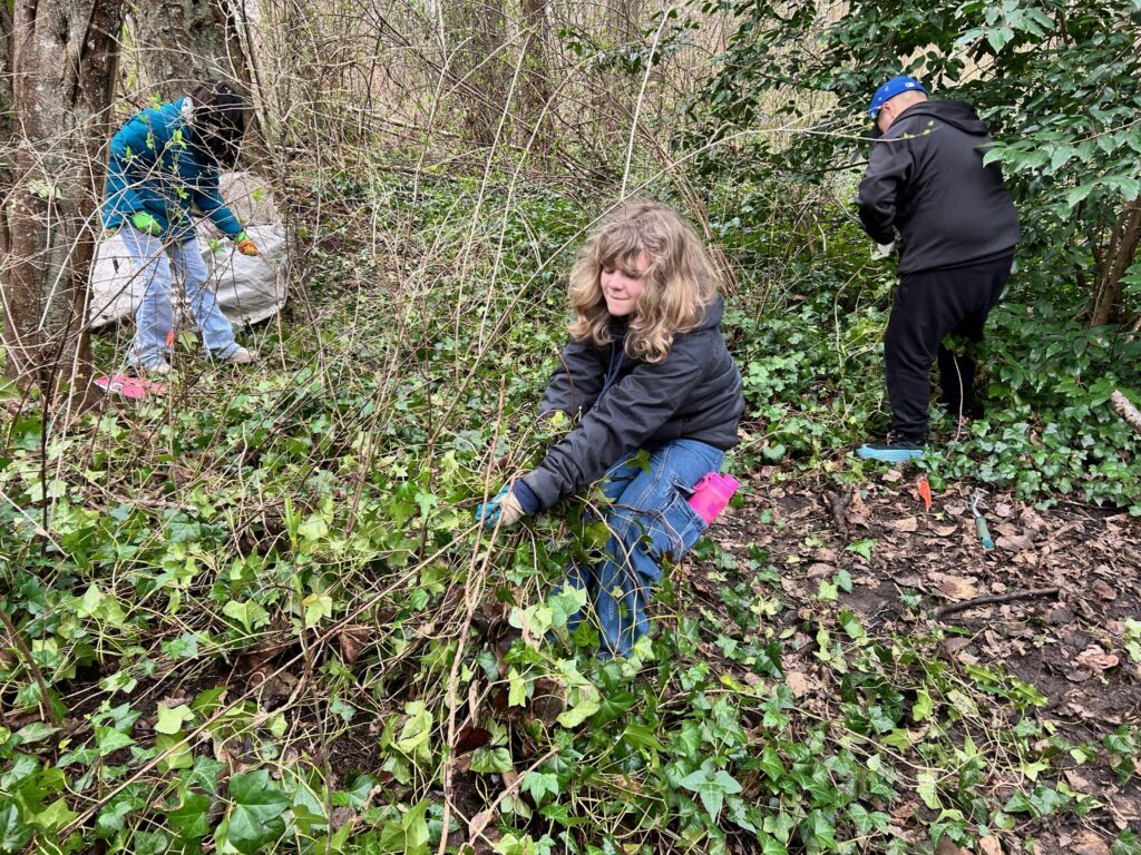 55112464651_4999e67062_k