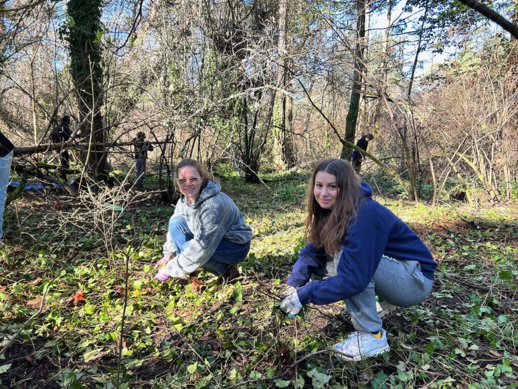 55142146436_68dfa97ac1_o