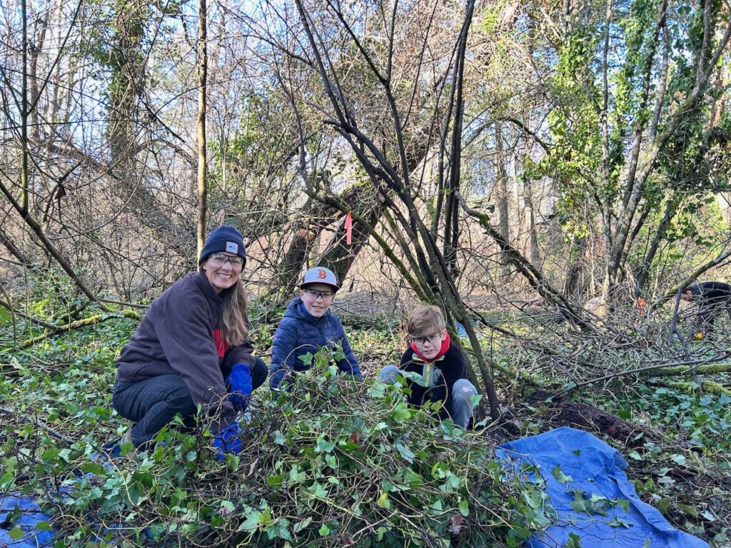 55142160506_a5ee8c49f3_o