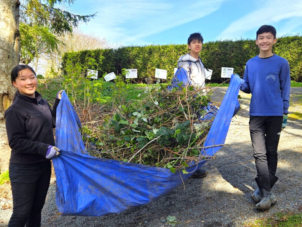 55188392564_2e4245da0c_o