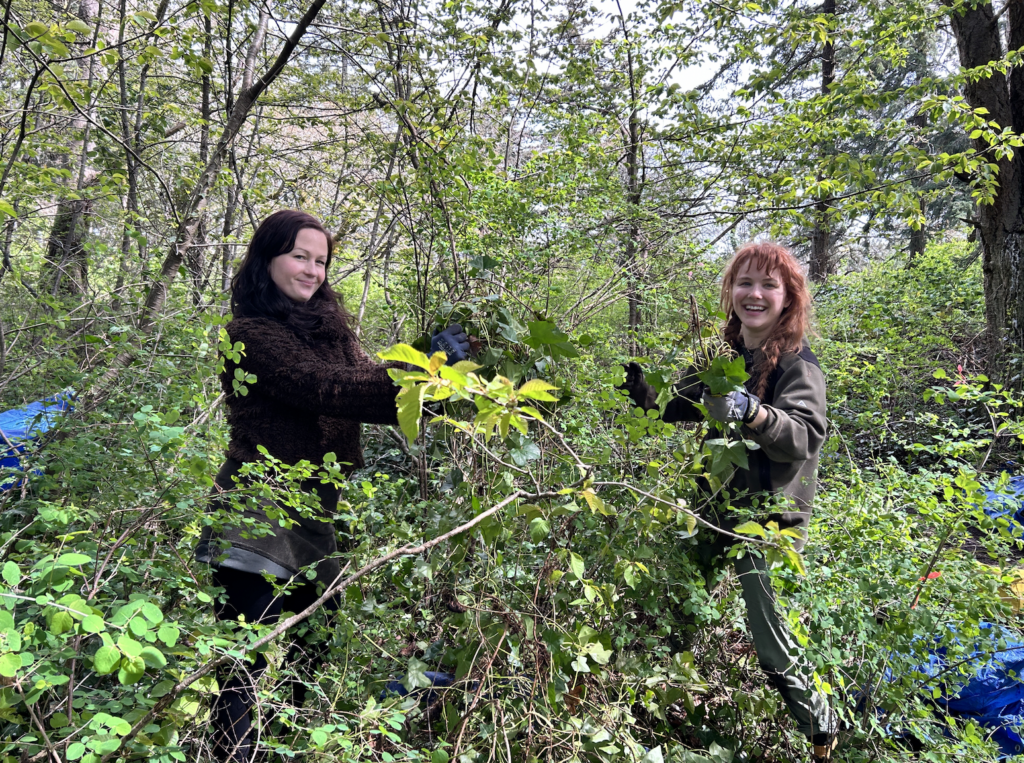 Screenshot 2026-04-15 at 6.01.02 PM