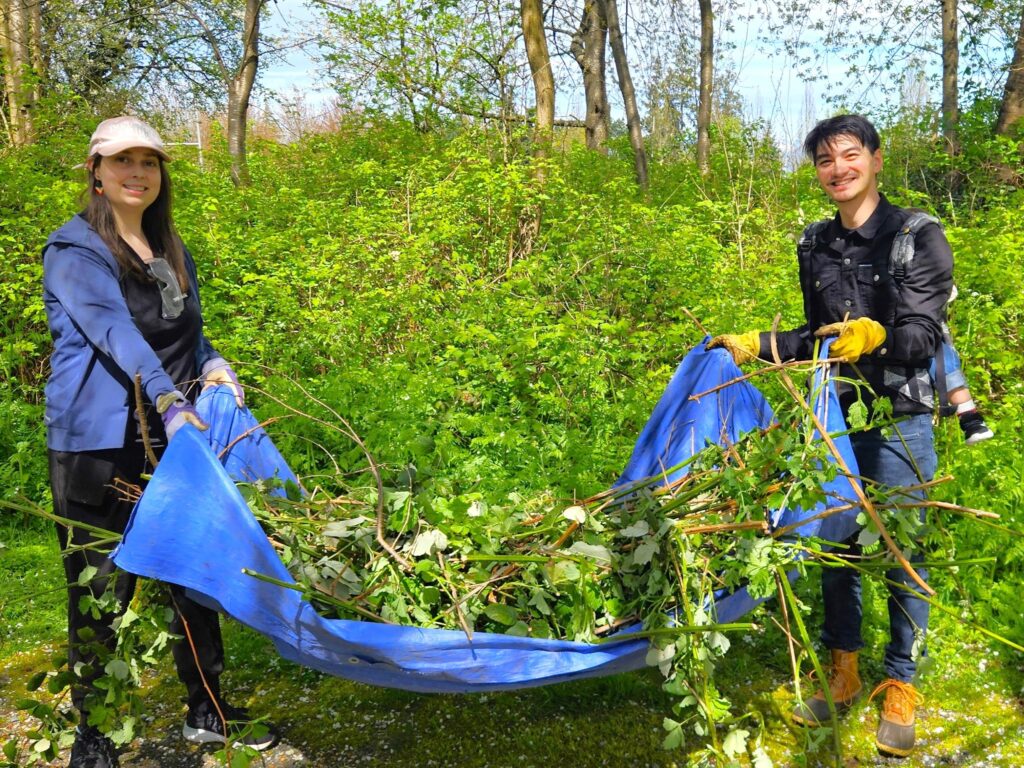 Allison & Keefer with a tarp full of himalayan blackberry, some of the 70 bathtubs worth removed at the activity