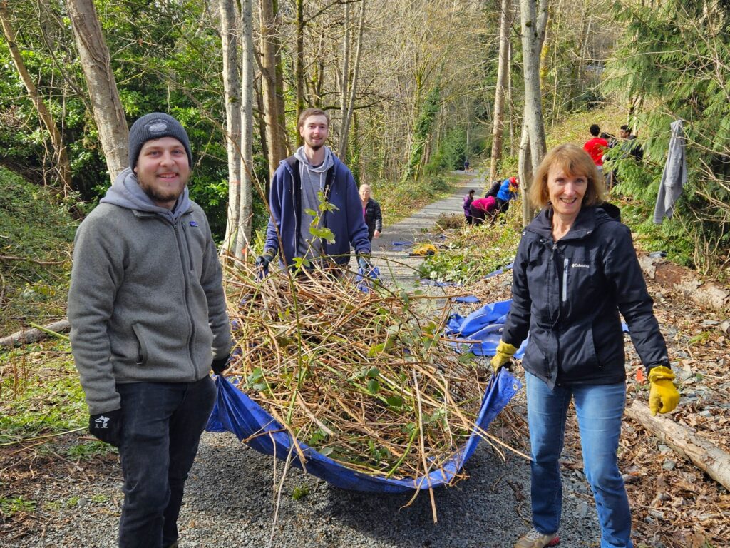 Community members hauling a tarp full of invasive blackberry out of the park