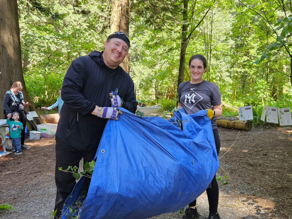 Community members removed invasive plants like English ivy, Periwinkle, English holly, and Himalayan Blackberry