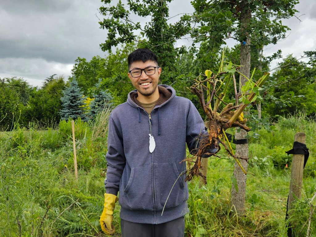 Leslie, a long-time volunteer with our team and other environmental activities in Langley removed this big blackberry root crown- the key to preventing regrowth of this invasive plant