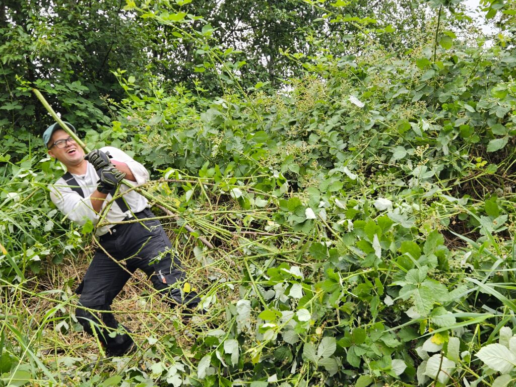 Participants had a blast tackling these invasive plants!