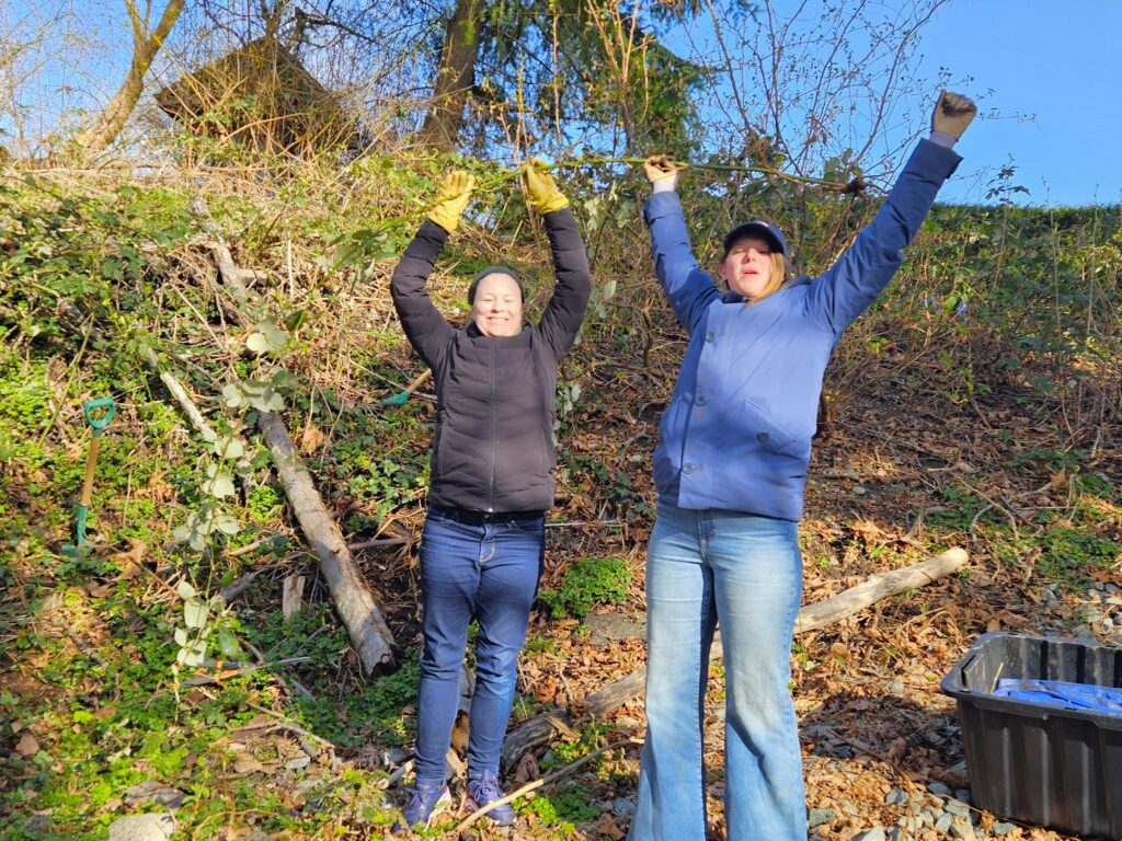 Participants had a great time removing some very long blackberry canes