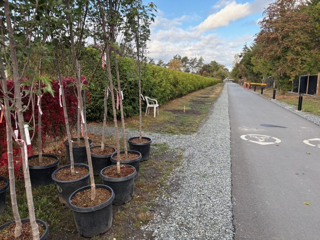 55553726375 c30a3ec08e o