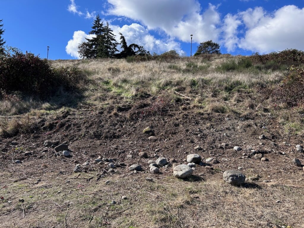 2.1 after (1)