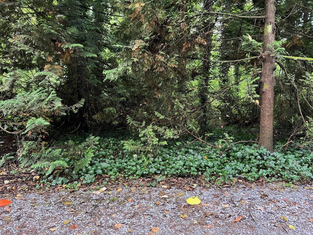 img 7237